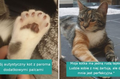 18 kciaków, które wyróżniają się swoimi unikalnymi cechami wyglądu