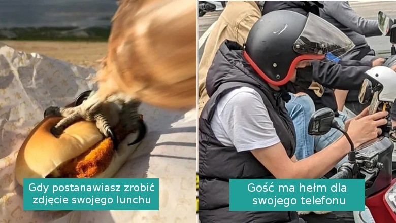 16 sytuacji, w których świat zaskoczył nas swoim poczuciem humoru