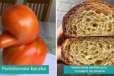 Jedzenie tych osób było na tyle wyjątkowe, że chciały podzielić się nim ze światem