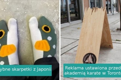 To niby zwyczajne rzeczy, lecz zaprojektowane przez osoby z nadzwyczajnym talentem