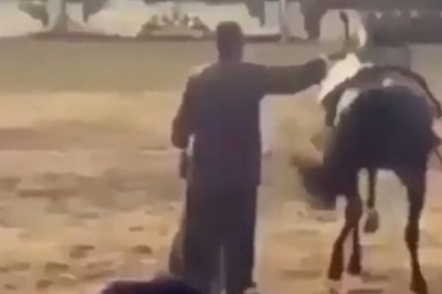 Nic dziwniejszego dzisiaj nie zobaczysz, czyli filmik z idealnym podkładem