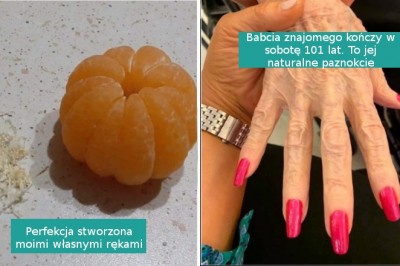 15 satysfakcjonujących zdjęć, na których uchwycono prawdziwą perfekcję 