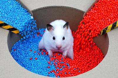 Codzienna porcja ciekawych i zabawnych filmików #531