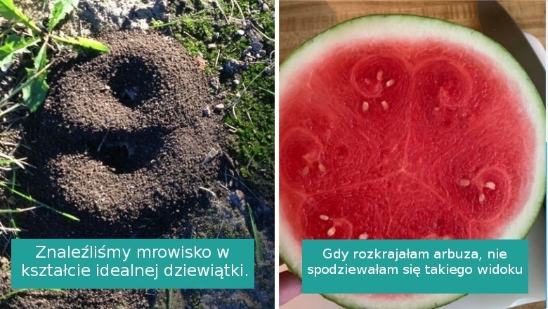 Galeria zdjęć tak perfekcyjnych, że aż trudno uwierzyć w ich autentyczność