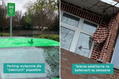 15 błyskotliwych osób, które pokonały system przestrzegając zasad