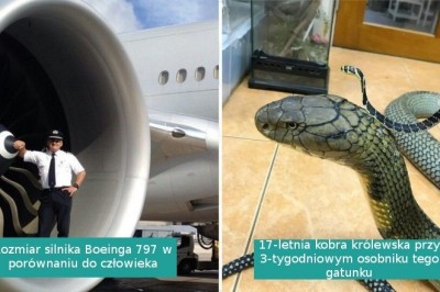 14 ekscytujących porównań, które wprawiają w zdumienie. Te zdjęcia zapierają dech