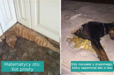 16 zdjęć pokazujących, że życie ze zwierzakami to prawdziwy rollercoaster