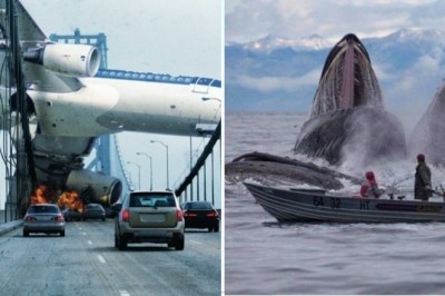 30 zdjęć wykonanych w perfekcyjnym momencie. Trudno uwierzyć jak to uchwycili