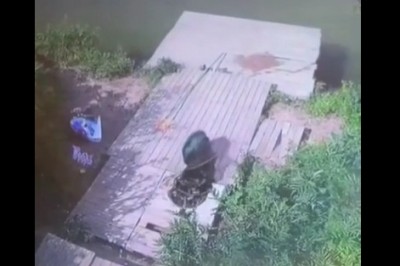 Kiedy wędkarz nie przypilnuje tego co złapał