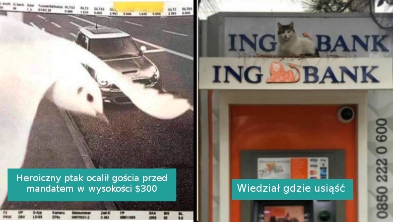 18 sytuacji pokazujących, że niemożliwe nie istnieje