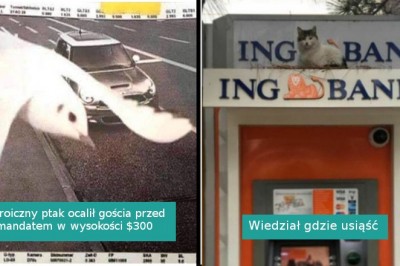 18 sytuacji pokazujących, że niemożliwe nie istnieje