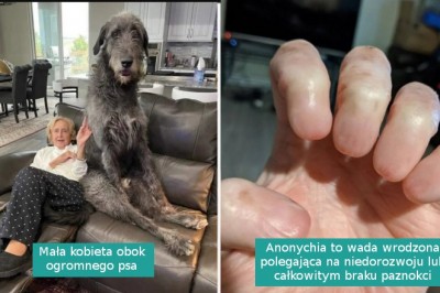 16 niezwykłych rzeczy, których nie zobaczysz na co dzień