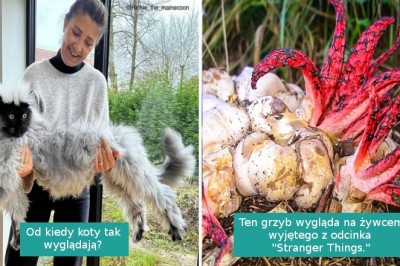 18 zdjęć przedstawiających urzekające piękno natury