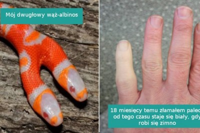 15 pozornie zwyczajnych rzeczy, które okazały się zaskakujące