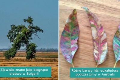 15 zdjęć, które przypominają nam, że świat wciąż jest pełen niespodzianek