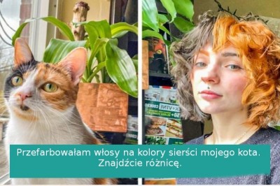 18 kobiet, które postanowiły nie tracić czasu na nudne fryzury