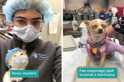 16 weterynarzy, którzy napotkali w swojej pracy wyjątkowo słodkich pacjentów 