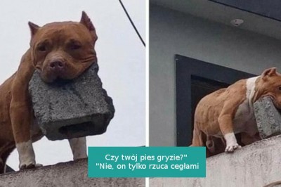 15 zdjęć, które sprawią, że uśmiechniesz się nawet w najbardziej pochmurny dzień