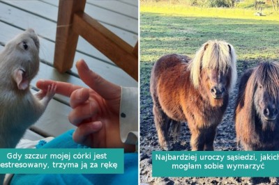 15 uroczych zdjęć, które chwycą cię za serce dawką pozytywnych emocji 