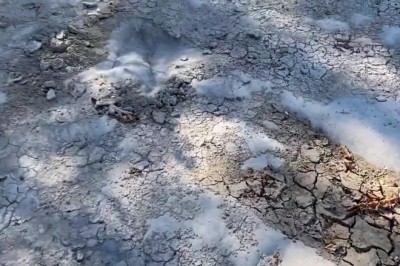 Codzienna porcja ciekawych i zabawnych filmików #578