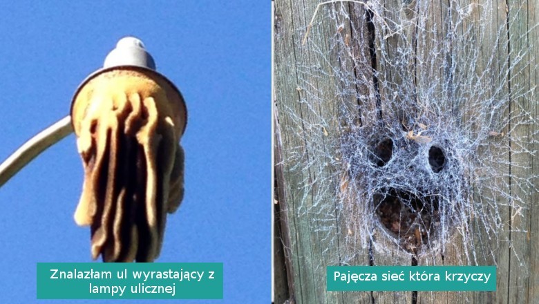 16 momentów, w których natura pokazała swoje zdumiewające oblicze