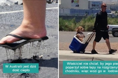 17 zdjęć pokazujących konsekwencje ekstremalnych letnich upałów