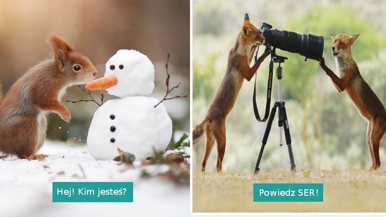 25 niezwykłych fotografii dzikich zwierząt, uchwyconych w nietypowych  sytuacjach