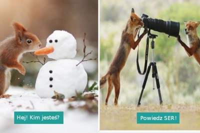 25 niezwykłych fotografii dzikich zwierząt, uchwyconych w nietypowych  sytuacjach