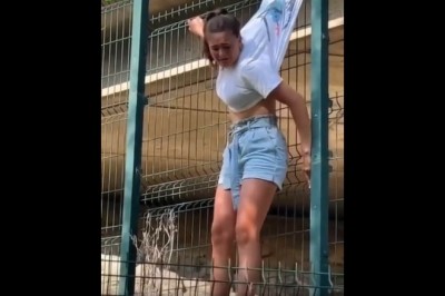 Chciała przejść przez ogrodzenie, ale mocno jej nie wyszło