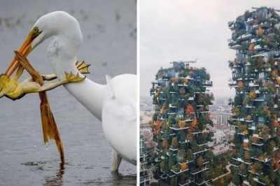 20 zapierających dech zdjęć z konkursu National Geographic. Inne oblicze świata