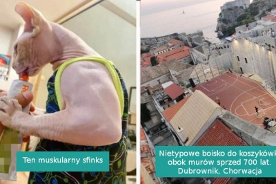 17 osób, które podzieliły się swoimi nietypowymi odkryciami i pomysłami 