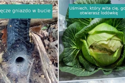 20 przypadków, gdy natura przygotowała dla nas małą niespodziankę
