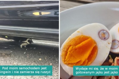 14 osób, które przypadkowo natknęły się na coś niezwykłego