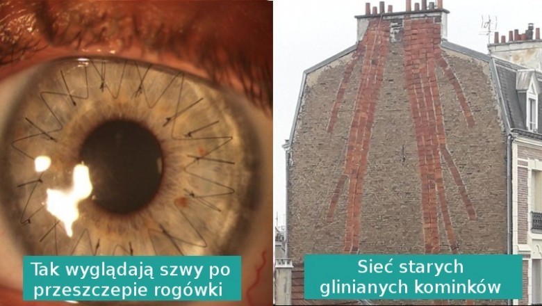 16 codziennych spotykanych rzeczy pokazanych w niecodziennym świetle