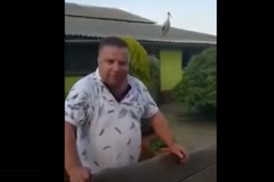 Jak można wytresować bociana? Czyli rozrywki Ryśka w sobotni wieczór