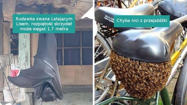 20 przykładów, kiedy matka natura mówi nam zdecydowane NIE i czas się wycofać