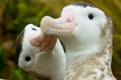 Codzienna porcja ciekawych i zabawnych filmików #599