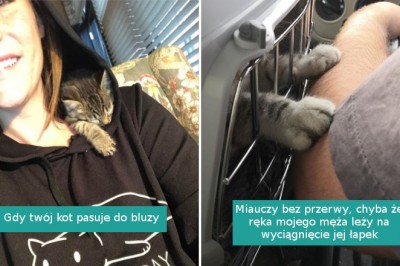 20 zwierzaków, które nigdy nie odstępują swoich właścicieli nawet na krok