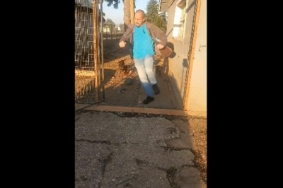 Kiedy chcesz ogarnąć  sforę szczeniaków ale Ci nie wychodzi 