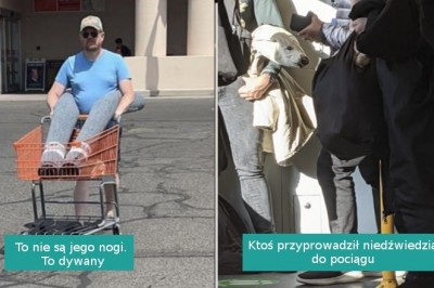 15 zdjęć, które oszukają twój wzrok jeśli nie przyjrzysz się im dokładniej