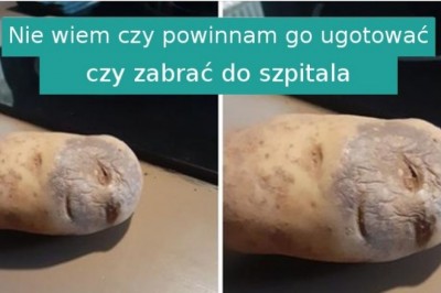 16 podstępnych zdjęć, które przedstawiają coś całkiem innego niż myślimy