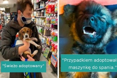 16 uroczych zwierzaków, które znalazły swój nowy dom. Widać ich wielką radość