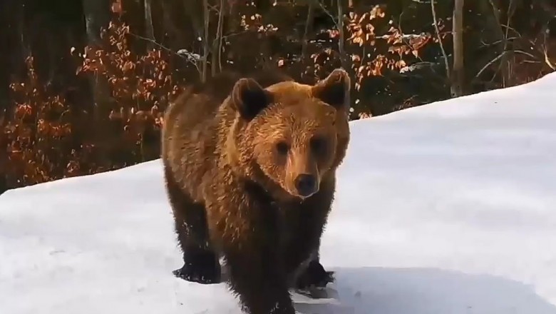 Codzienna porcja ciekawych i zabawnych filmików #608