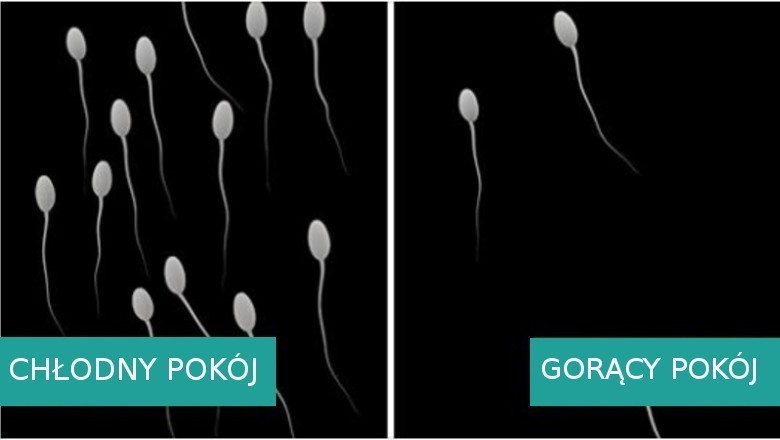 8 powodów, dla których spanie w chłodniejszym pokoju jest korzystne dla zdrowia