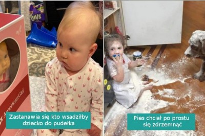 15 zdjęć pokazujących, że życie rodzica nigdy nie jest nudne