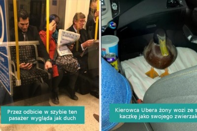 16 zdjęć pokazujących, że małe cuda otaczają nas z każdej strony