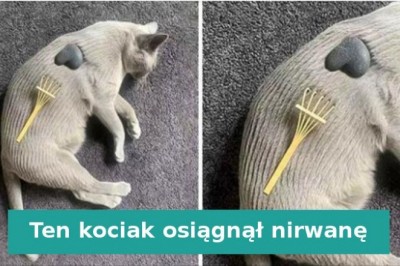 15 zdjęć, które pozwolą osiągnąć wewnętrzny spokój i ukojenie