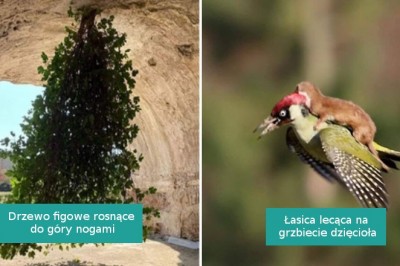 15 interesujących odkryć z całego świata