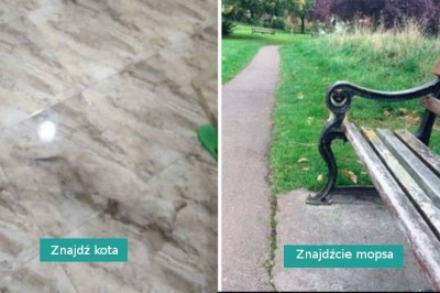 16 perfekcyjnie zakamuflowanych rzeczy, których nie zauważysz na pierwszy rzut oka