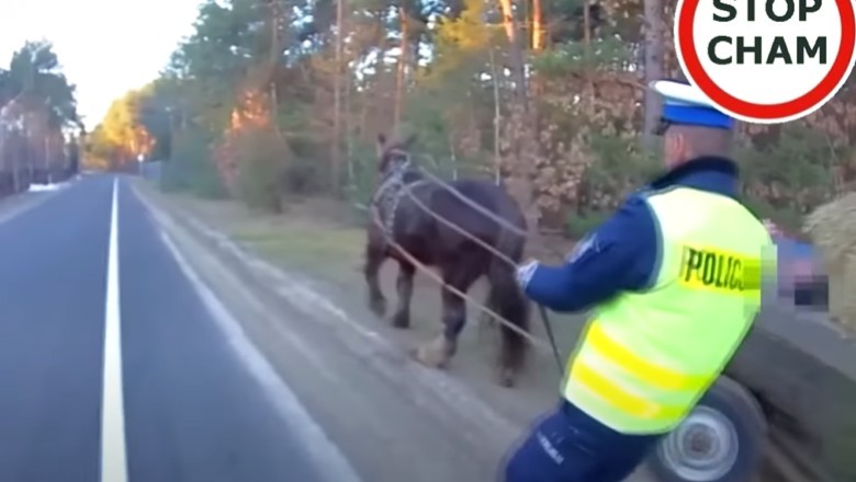 Miał 3-promile gdy znaleźli go policjanci na środku drogi